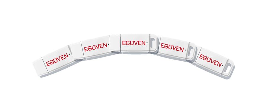 Mali müşavir bayilik: 5 gerçek E-GÜVEN e-imza USB token yan yana, bir elin beş parmağı gibi